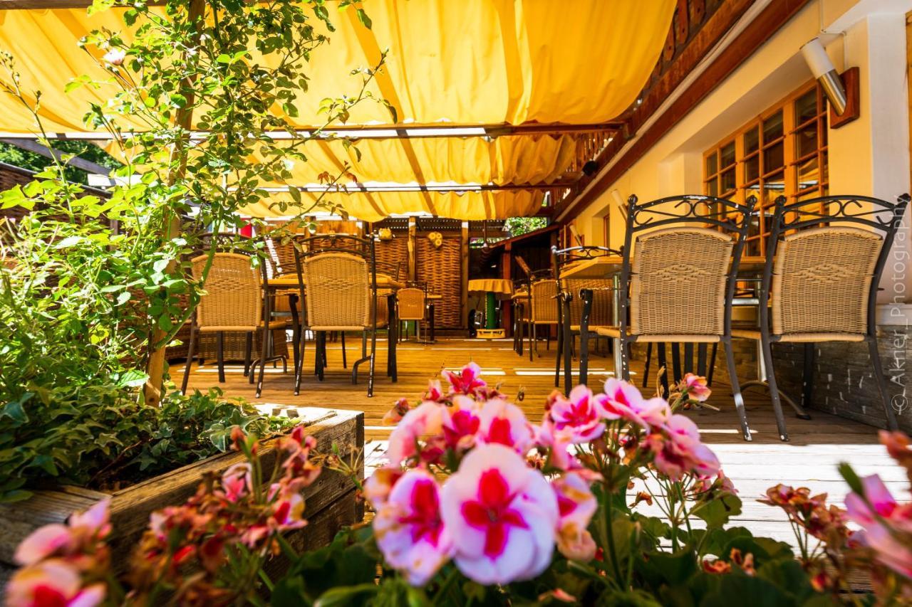Hotel Restaurant Les Lilas 레디아블러레 외부 사진